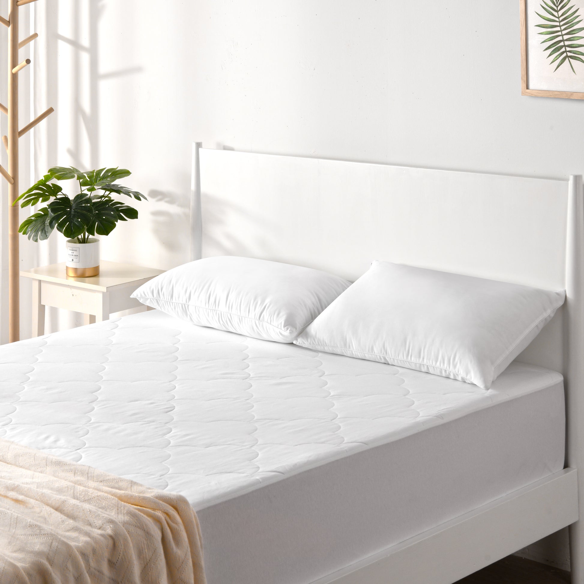 A white Australian cotton mattress protector on a bed with two white pillows, in a room with a white wall and a plant decoration.