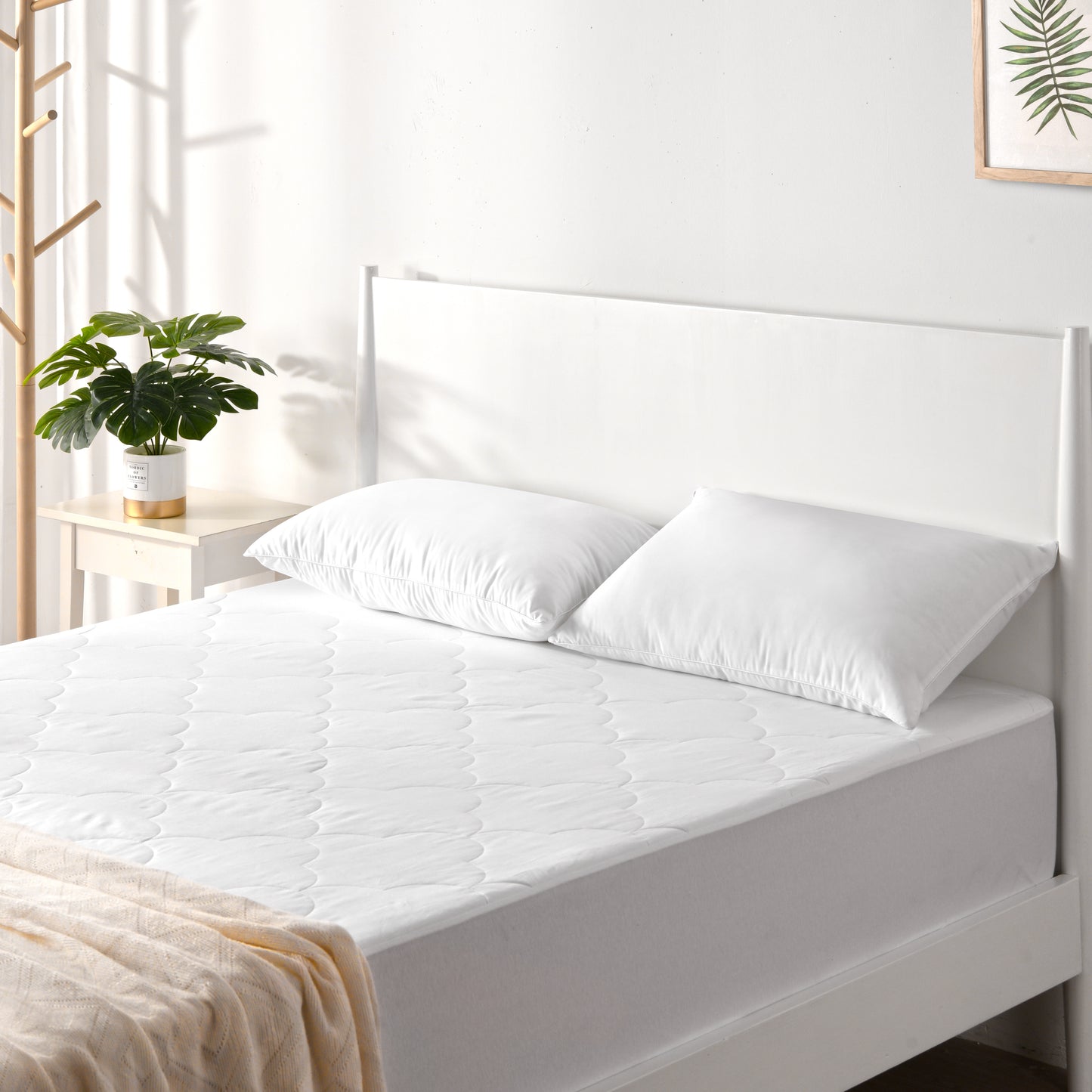 Australian Cotton Mattress Protector